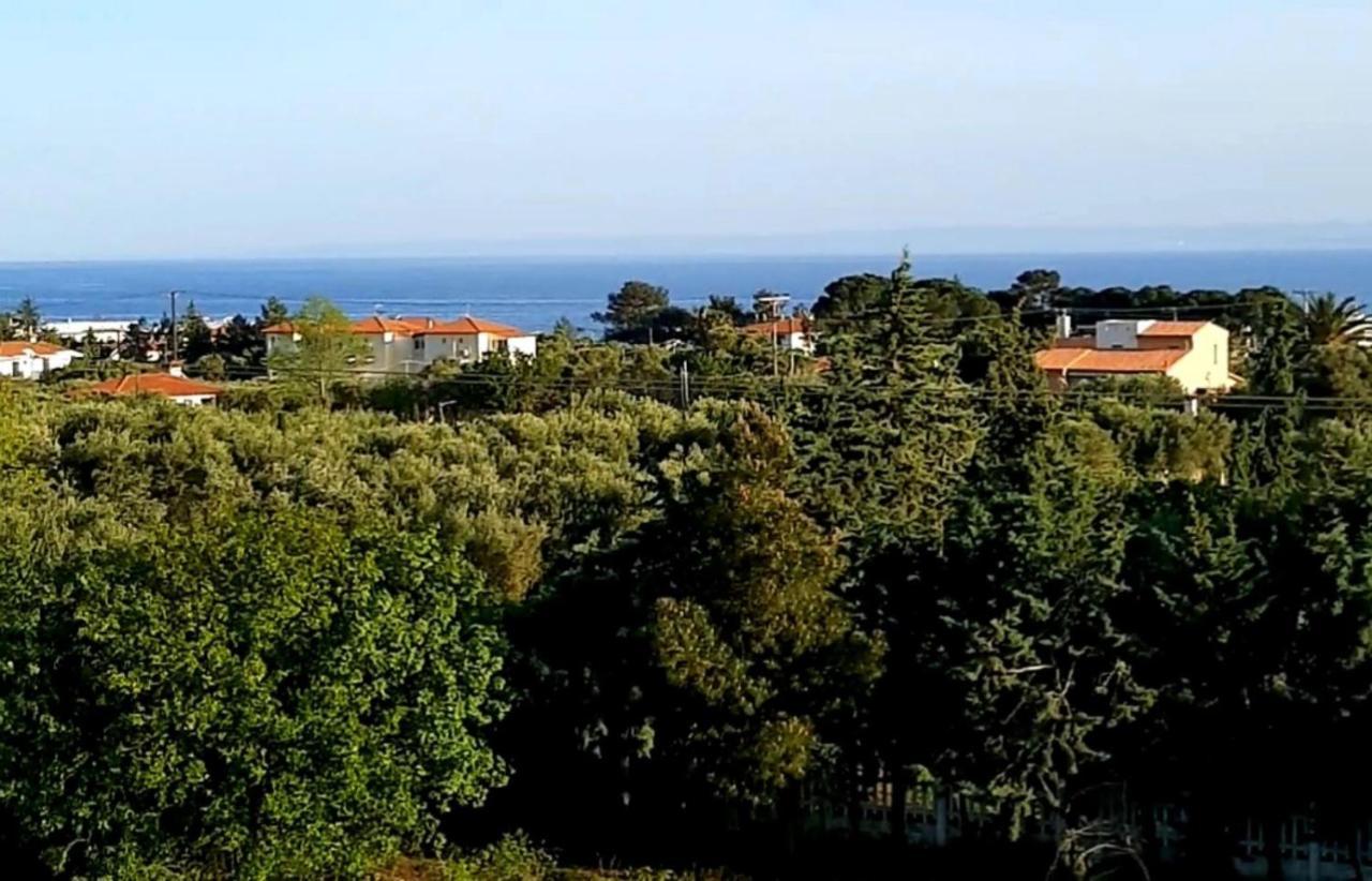 Castello